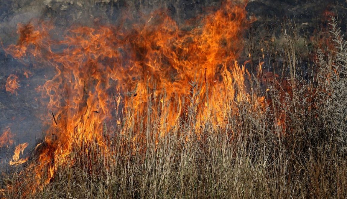 fire-g00a763781_1280