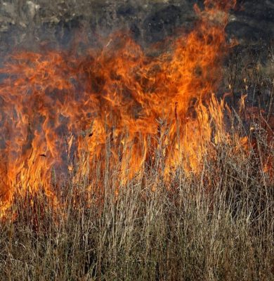 fire-g00a763781_1280