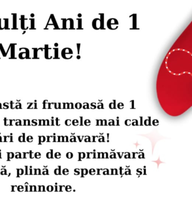 Alin Vaduva Primar